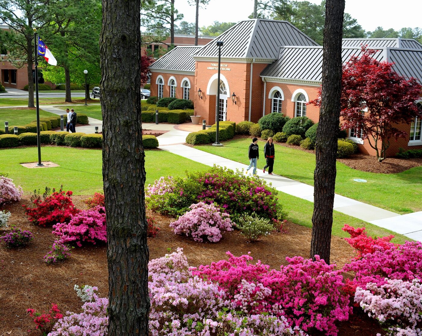 Wide photo showing azaleas and pine tree trunks in the foreground and the administration building in the background