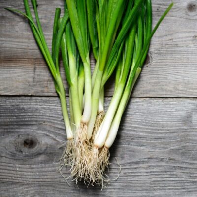 Bunching Onions
