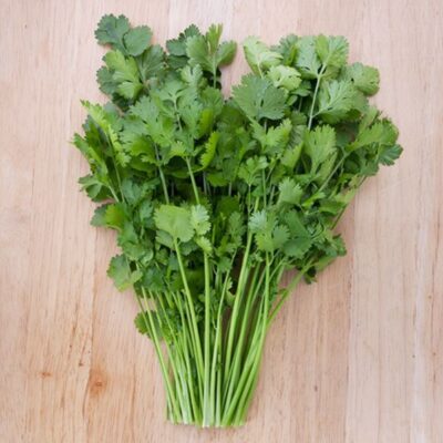 Cilantro Herb Pack Pic