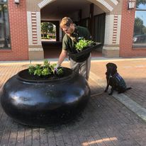 Hurley Pot With Dog