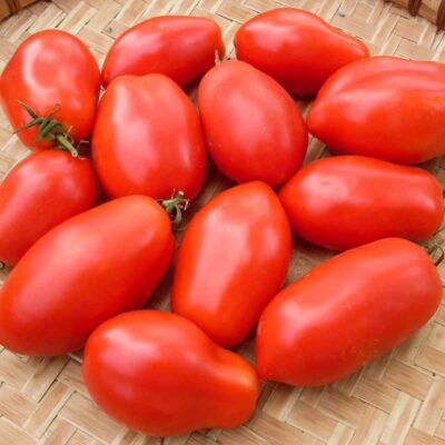Roma Tomato Pack Picture