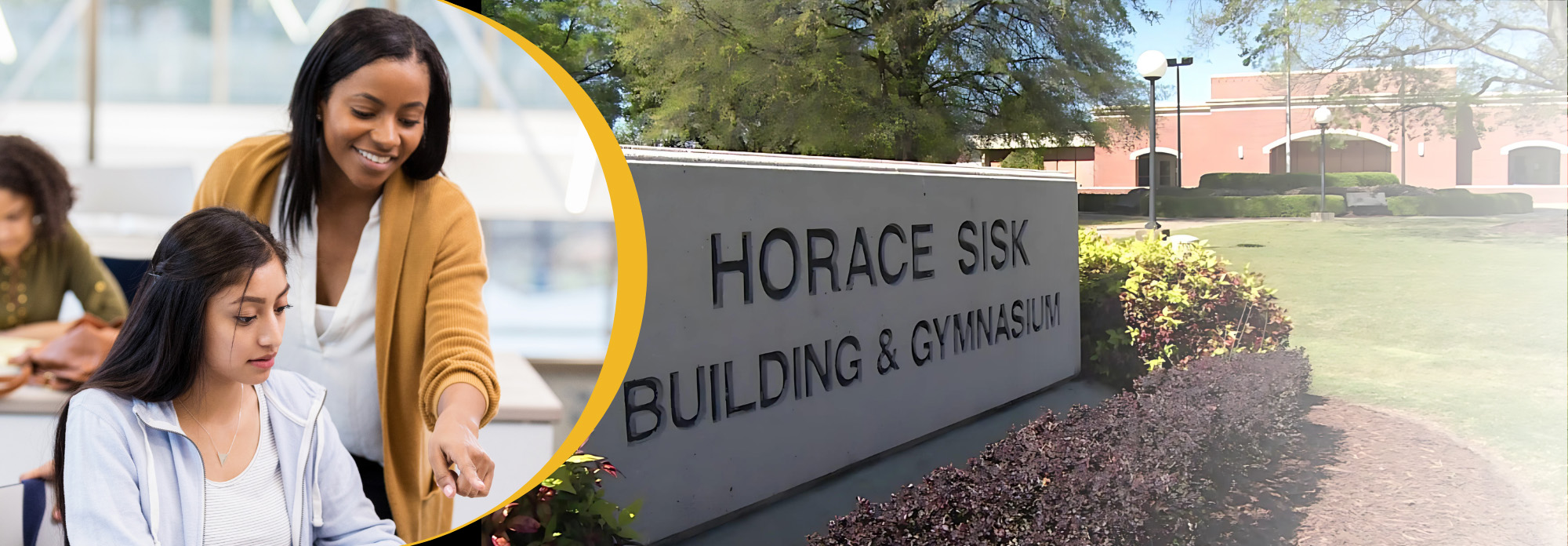 Arts And Humanities Instructor Banner