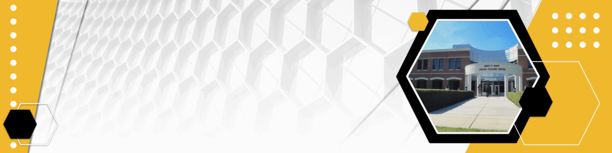 Canava Template Banner Example V2