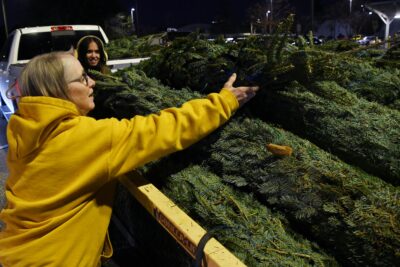 A woman in a gold hoodie lifts a Christmas tree off of a pile of trees of the back of a trailer.