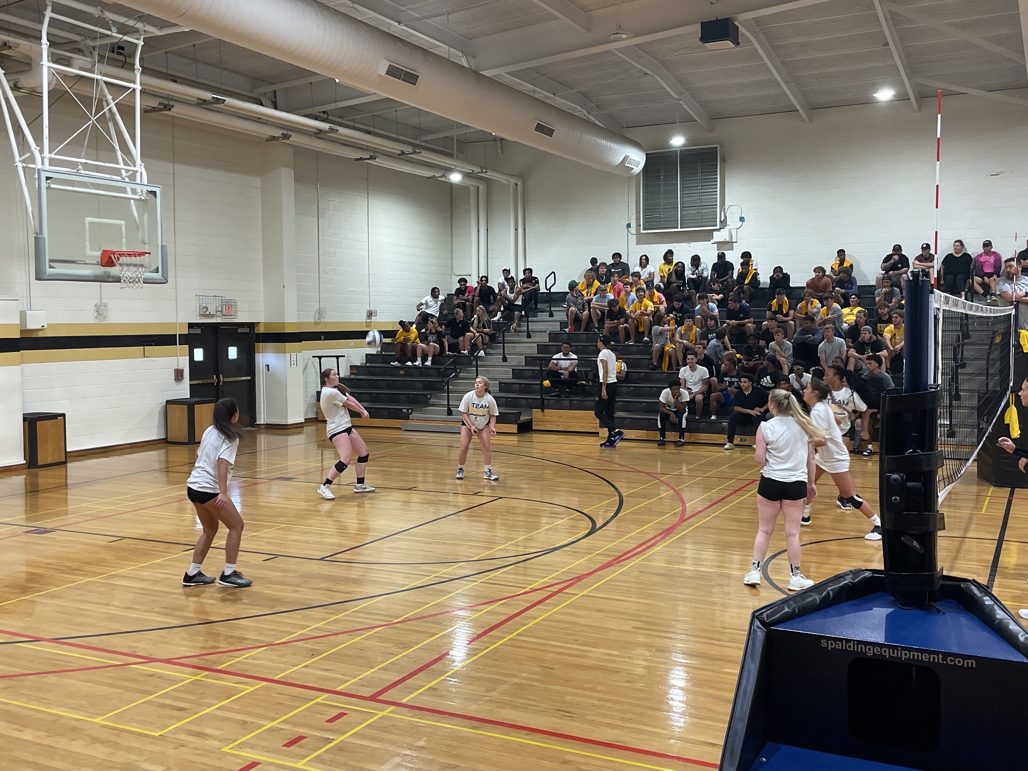 Athletic Cookout/Alumni Game