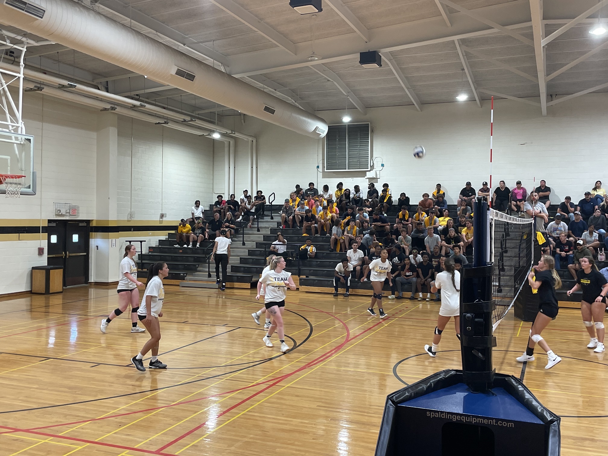 Athletic Cookout/Alumni Game