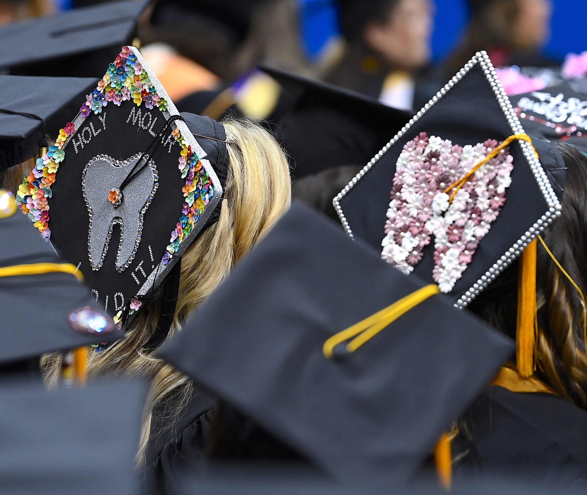Two graduation caps decorated with teeth.