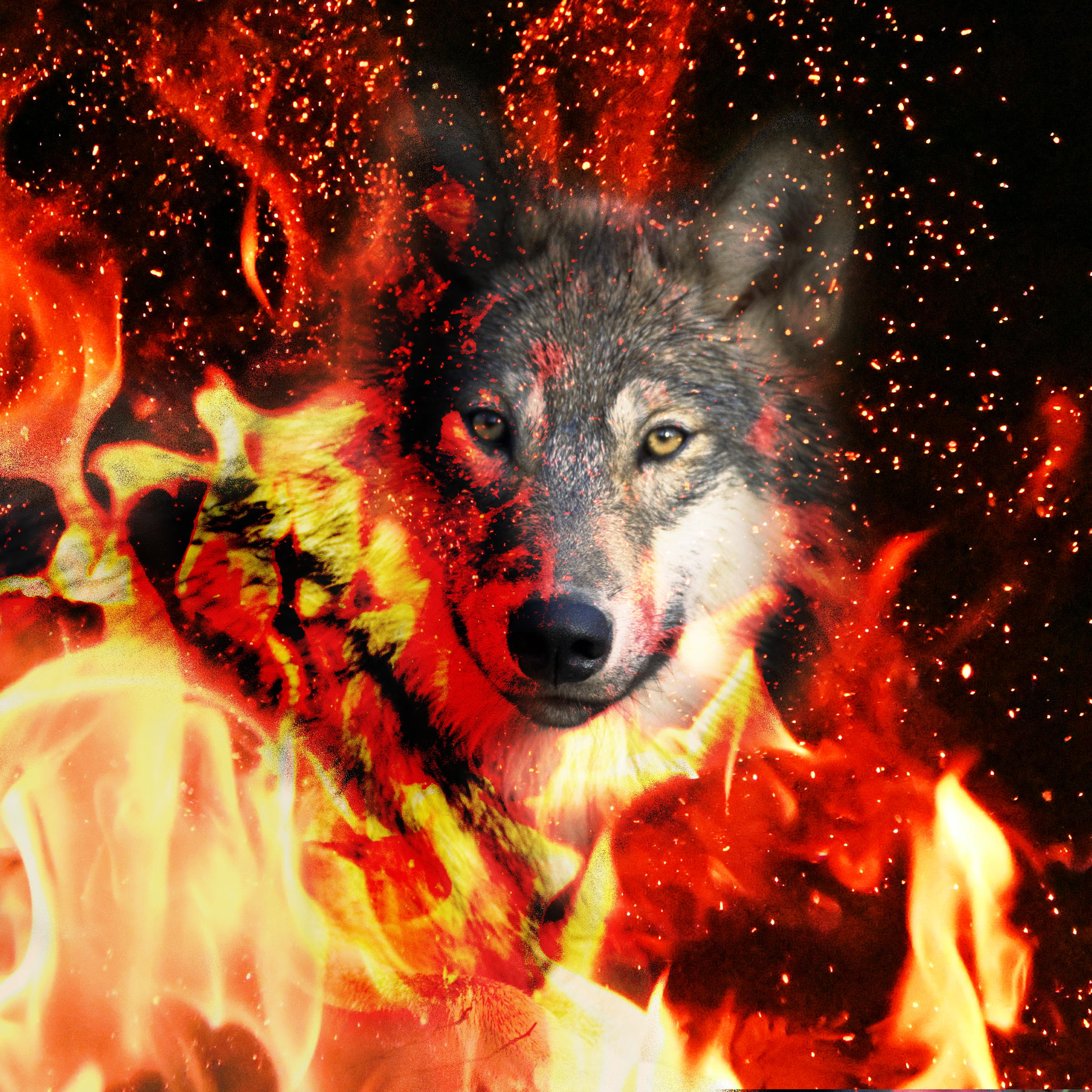 Jeremiah Crawford, Double Exposure