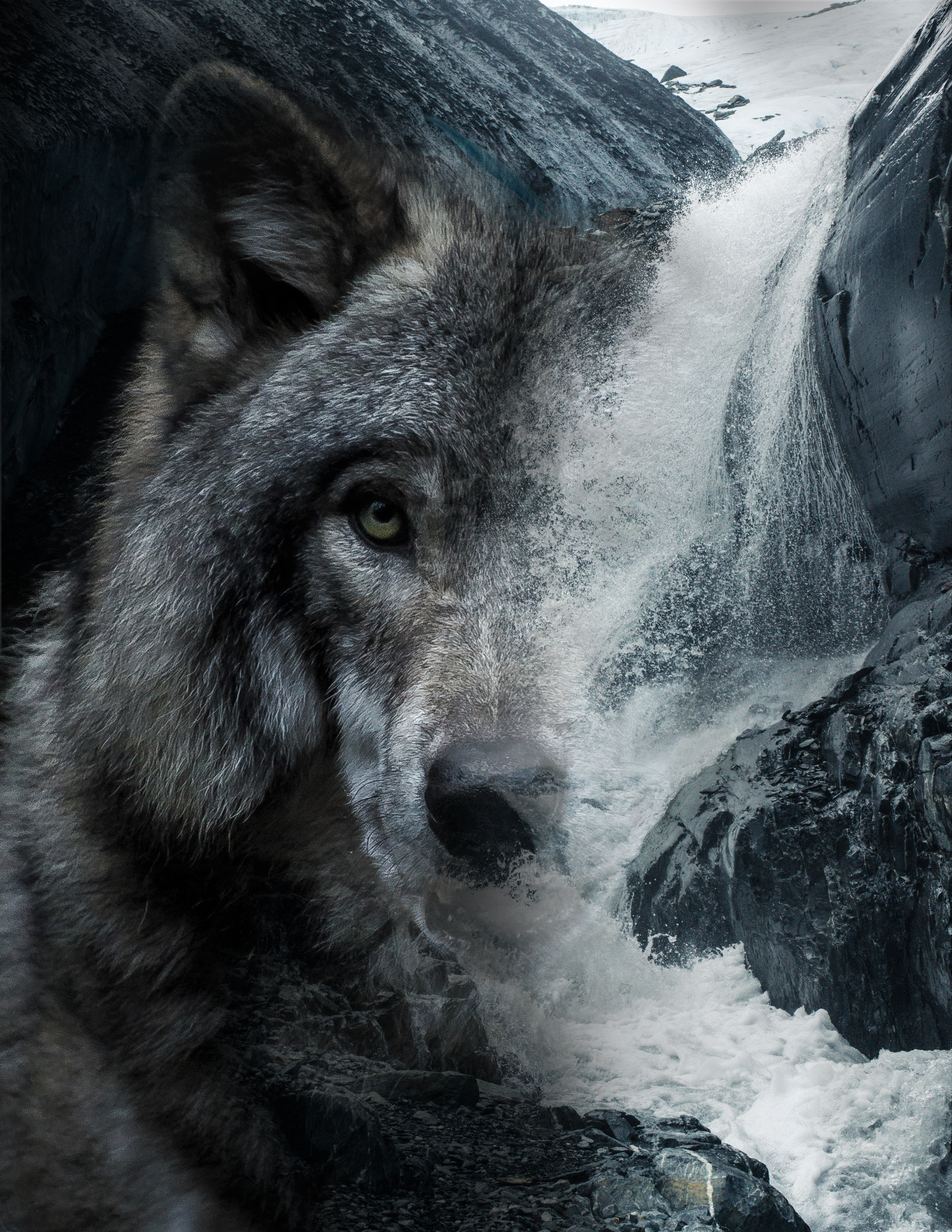 Kimberly Jessee, Double Exposure