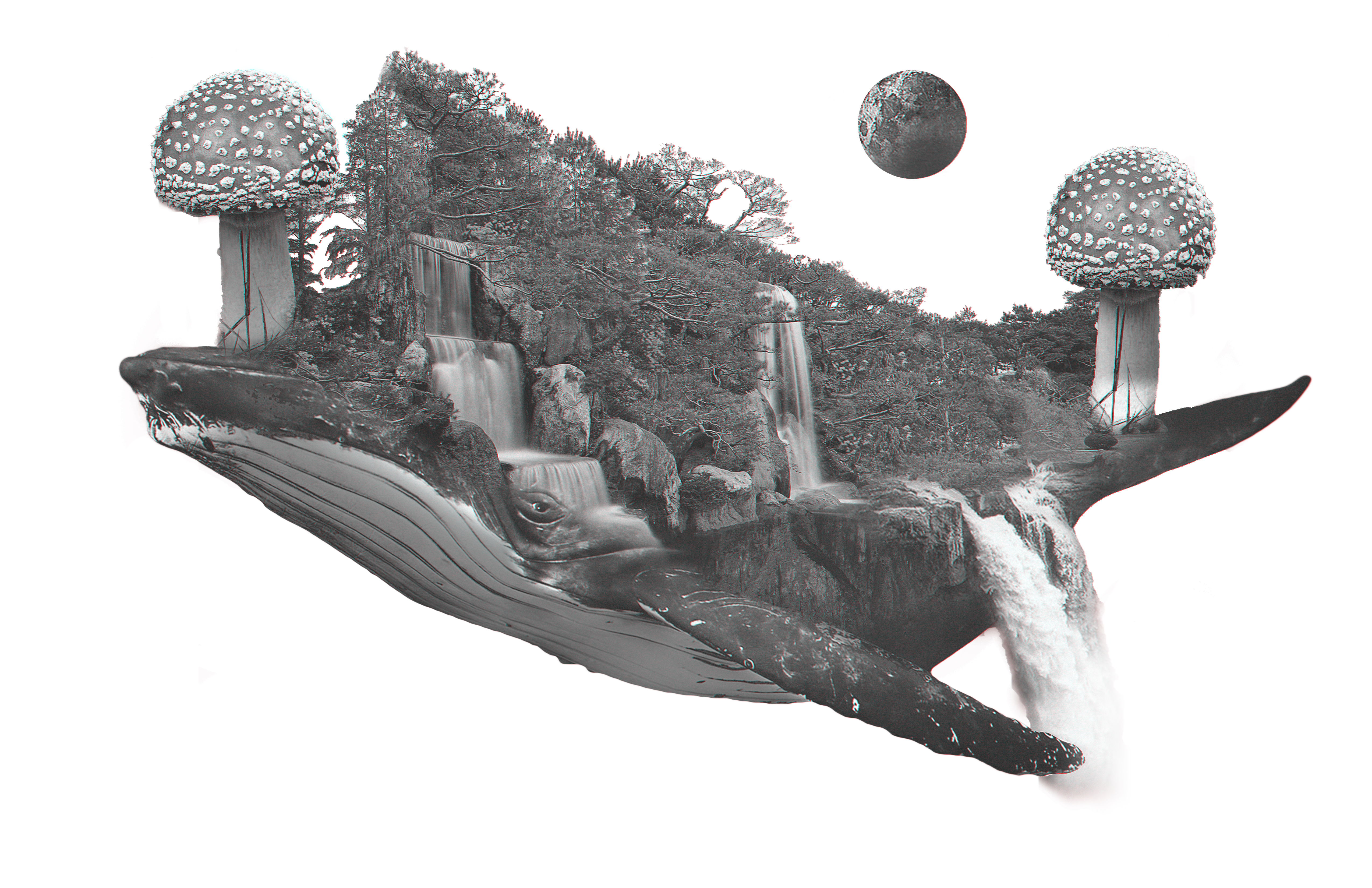 Phillip Lewis, Double Exposure